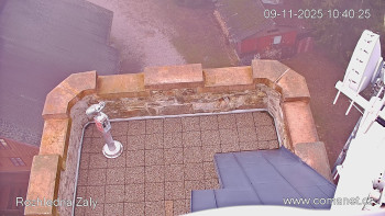 Snímek 9.11.2025 v 10:45