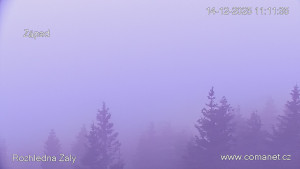 Rozhledna Žalý - Žalý - 14.12.2025 v 11:15 Rozhledna Žalý - Žalý - 14.12.2025 v 11:15