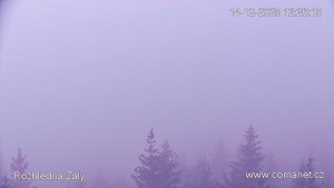 Rozhledna Žalý - Žalý - 14.12.2025 v 12:30 Rozhledna Žalý - Žalý - 14.12.2025 v 12:30