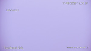 Rozhledna Žalý - Žalý - 11.2.2026 v 14:00 Rozhledna Žalý - Žalý - 11.2.2026 v 14:00