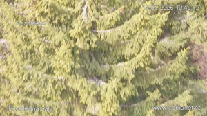 Rozhledna Žalý - Žalý - 14.3.2026 v 10:45 Rozhledna Žalý - Žalý - 14.3.2026 v 10:45