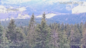 Rozhledna Žalý - Žalý - 14.3.2026 v 14:45 Rozhledna Žalý - Žalý - 14.3.2026 v 14:45