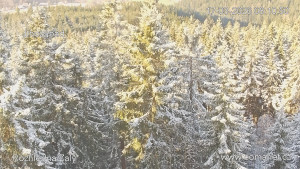 Rozhledna Žalý - Žalý - 17.3.2026 v 08:15 Rozhledna Žalý - Žalý - 17.3.2026 v 08:15