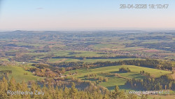 Žalý