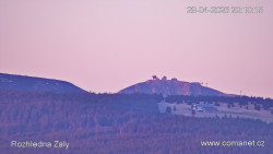 Žalý