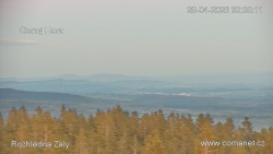 Žalý