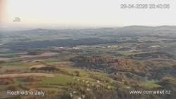 Žalý