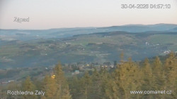 Žalý