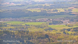 Žalý