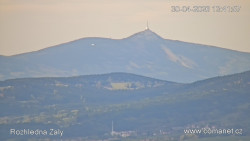 Žalý