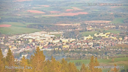 Žalý