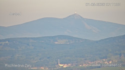Žalý