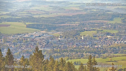Žalý
