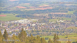 Žalý
