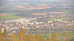 Žalý