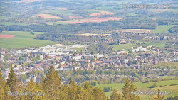 Žalý