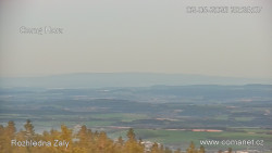 Žalý