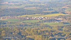 Žalý