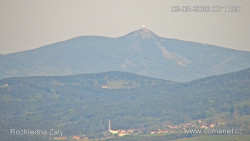 Žalý
