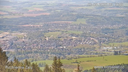 Žalý