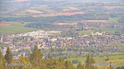 Žalý