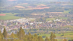 Žalý