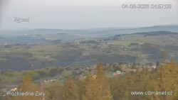 Žalý