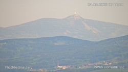 Žalý