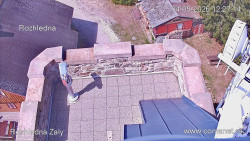 Žalý