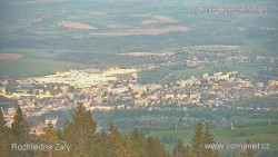 Žalý