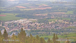 Žalý