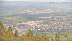 Žalý
