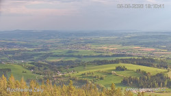Žalý