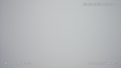 Žalý