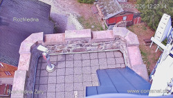 Žalý
