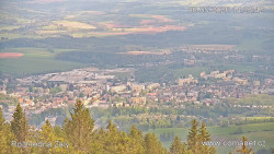 Žalý
