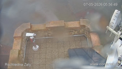 Žalý