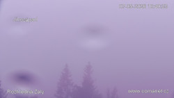 Žalý