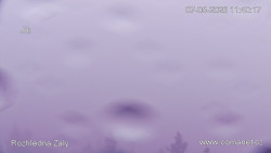 Žalý
