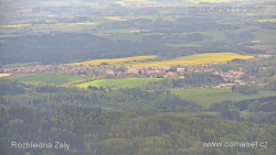 Žalý