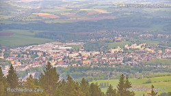 Žalý