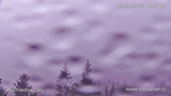 Žalý
