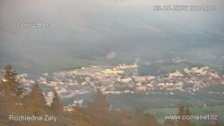 Žalý