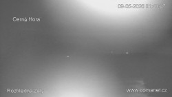 Žalý