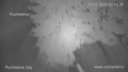 Žalý