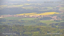 Žalý