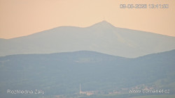 Žalý