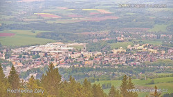 Žalý