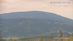 Žalý
