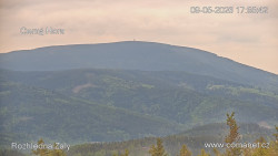 Žalý